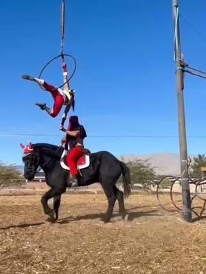 Gladius presents, a very Viking Christmas. Dec 21st, come enjoy the show #christmas #xmas  #show #dec #gladiatorgames #Viking #horse #horses #drafthorse #drafthorses #Belgian #Percheron #Clydesdale #Shire #romanriding #stunt  #lasvegas #vegas  #Hungarianpost #Showtime #stunts  #viralvideo #trendingvideo  #gladiator  #stuntgroup  #stuntgiri  #muscles #strength #balance #fyp #foryou #foryoupage 