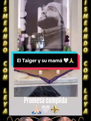 Las cenizas de El Taiger y su mamá ya fueron trasladadas para su nuevo mausoleo 🤍🙏 #chismeandoconleya #eltaiger #cubanos #cubanostiktok #cubanosporelmundo 