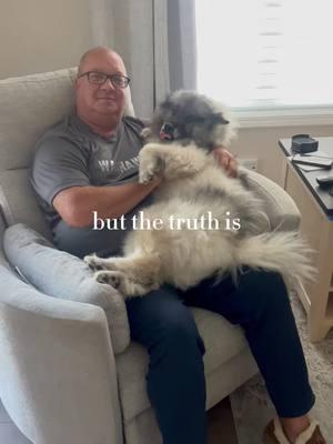 #CapCut Miller loves his GrandPAW! #grandpaw #dogdad #keeshond