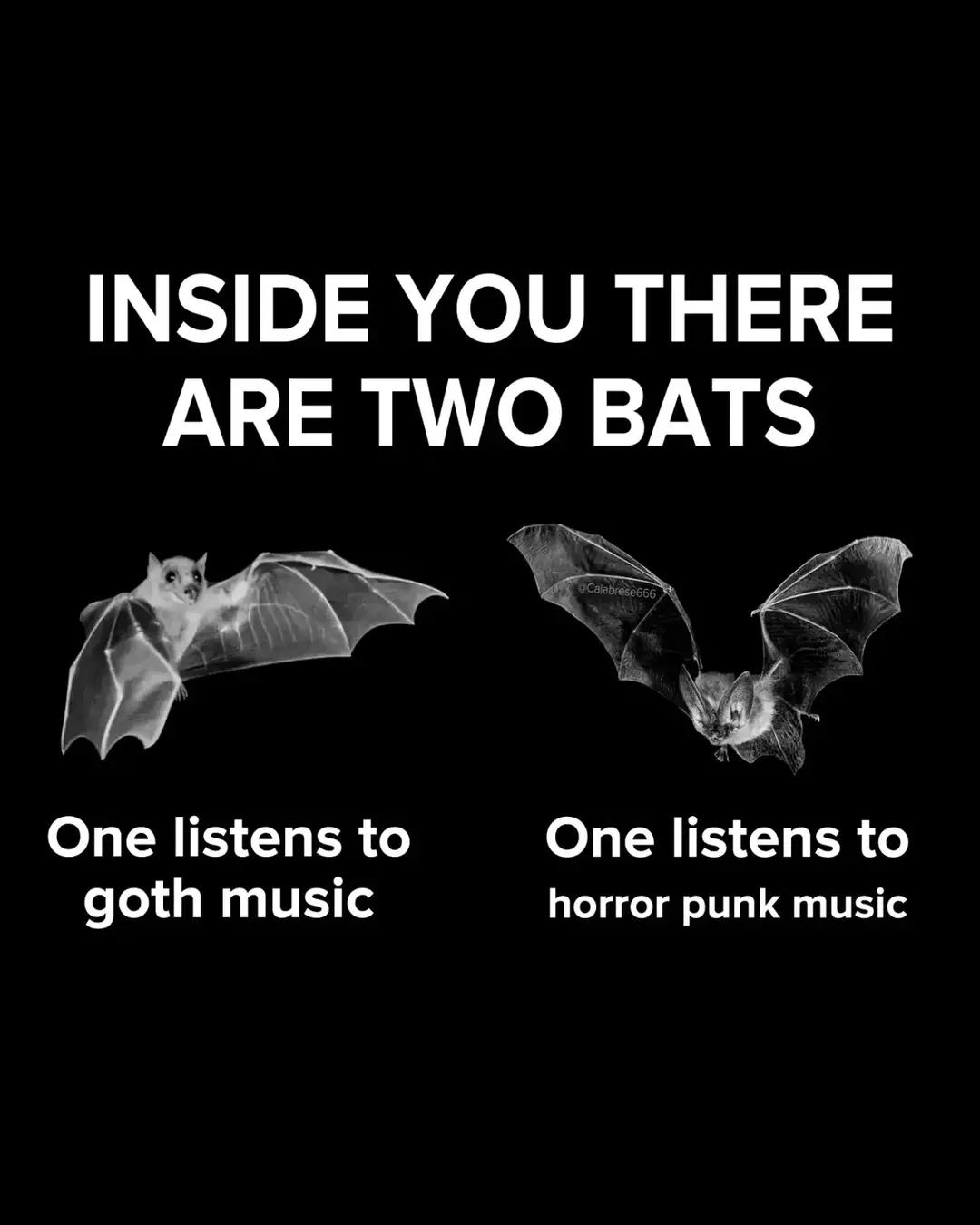 I love em BOTH!!! 🖤🦇🔥 Stream THING UNNATURAL by Calabrese 🩸  - #goth #horrorpunk #misfits 