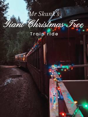 All aboard the holiday magic! 🚂🎄 Taking a ride on Mr. Skunk’s Giant Christmas Tree Train in Willits, California. 🎅✨ #HolidayAdventure #ChristmasTrain #WillitsCA #ChristmasTrainRide #HolidayMagic #WillitsCalifornia #MrSkunksTrain #ChristmasAdventure #TrainRideFun #HolidayVibes #FamilyHolidayFun #WinterWonderland #ChristmasInCalifornia #TrainLovers #HolidayDestinations #FestiveSeason #ExploreCalifornia #ChristmasJoy