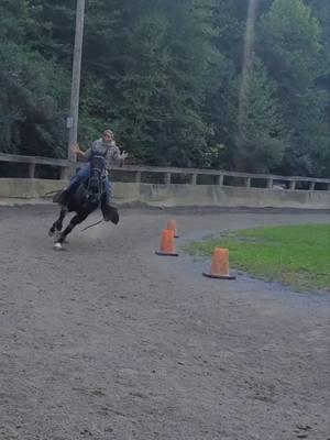 Automatic  #barnlife #horses #over60style #standardbredsoftiktok #appalachia 