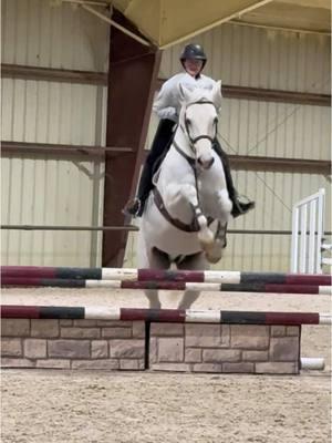 Vinnie was amazing today #horse #horseriding #greyhorse #adultammy #hunterjumper #equitation #equestrian #fyp 