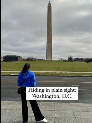 Once you notice these things, you’ll never see the city the same away again. 👀 #hiding #security #safetytips #funfacts #washingtondc #didyouknow #history #LifeHack 