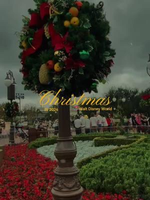 POV: You’ve just discovered the ultimate holiday wonderland—Disney at Christmas! 🎄✨ Where magic meets festive cheer, it’s a must-visit for the full holiday experience! #MagicalMemories #DisneyMagic #TravelExpert #DisneyTips #DisneyDeals #disneyworld #disneyvacation #familytravel #magickingdom #disneyvacationplanner #travelagentlife #disneytravelagent #disneychristmas #christmasdisney #giftideas #disneygifts 