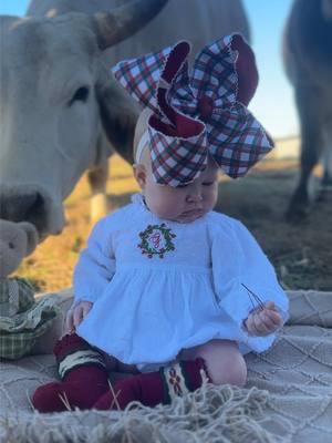 Go big or go home 🤷🏼‍♀️ every Navy Jo bow we get just gets bigger @southerntaters @onestopstitchshop @littlestockingco #bigbows #bigbowsdontcare #bigbow #ottbow #southernbaby #babygirl #babygirloutfit #babygirlootd #cowkid #brahman #brahmancattle  25 days of christmas Country christmas southern christmas Southern smocked outfit