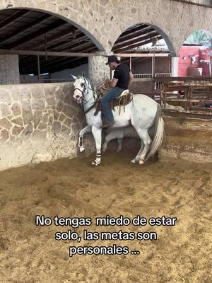 #fypシ #trending #contenido #viral #fyppppppppppppppppppppppp #jaliscomexico #caballostiktokers #animalestiktokers_ #charrostiktok #AGperformancehorses #