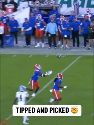 Alfonzo Allen Jr. tracked it down 🏈 #interception #cfb #CollegeFootball #florida #gators #cfbpostseason 