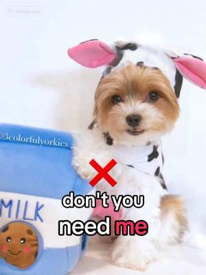 #apt #rosebrunomarsapt #rosebruno #aptlipsync #petlipsync #cutedog #cow #dogcostume #dogtiktok #fyp #dogsoftik #dogsoftiktok #cutedogtiktok #cutedog #cutepuppy #CapCut 