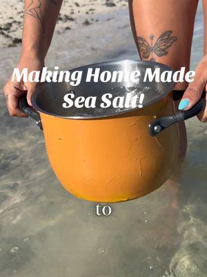 Homemade Sea Salt?!!!?!? Now making it, it’s seems so obvious that this is how you would get it but I’m still mind blown it actually worked 🤯 Margaritas with a homemade salted rim are calling my name tonight 👀🍹 #DIY #seasalt #vanlife #Recipe #homemade #rvlife #coolfacts #recipeshare #nomad #ocean #oceanlife #camping #campingrecipe #campinghacks