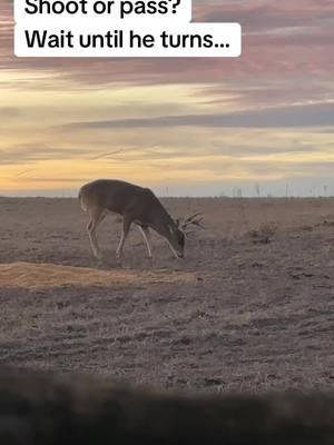 He in fact didnt make it far #jaketheoutdoorsman #kansas #duckhunting #hunterxhunter #hunter #hunt #huntingtiktok #huntingandfishing #Outdoors #deer #deerhunting #deerseason #deerhabitat 