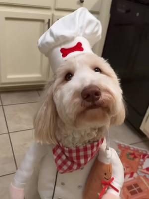 Baking night👩🏻‍🍳🐶 #funnydog #trendingsound #bakingnight 