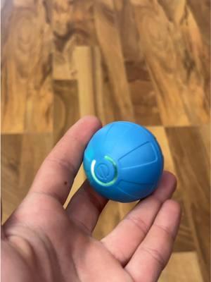 Really cool toy for your dogs and cats #dogball #dogtoys #cattoys #cattoy #pettoy 