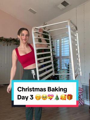 WHOEVER SAID BAKING IS EASY NEEDS TO WATCH THIS VIDEO!!!!🎄😃🎁🫡💝 Do you understand yesterdays let down now?🥲 #holidaybakingweek #homebakeryvlog #bakersditl #dayinthelifeofabaker #christmasbaking #macaronbakingday 