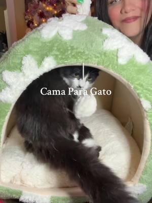 Cama Para Gato  Estas Camas Son de Buena Calidad  En este Facil De Lavar En este Momento Tienen Envio Gratis  Envio Gratis  . . . . Cute Cat Beds for Indoor Cats - 2 in 1 Cat Cave Bed for Large Cats, Cat House with Removable Washable Cushioned Pillow, Cozy Cat Tent House with Non-Slip Bottom #catsoftiktok #catbed #gifts 