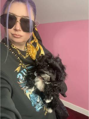 Vintage chanel for a vist to the vet for our rabies shot. Becuase anytime I leave the house its an occasion! #OOTD #wiwt #chanel #vintage #midwestfashion #fergustheshihtzu #overdressed 