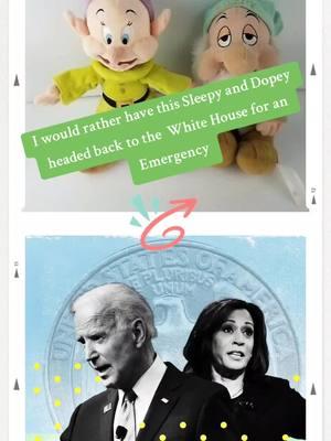 What Emergency calls Biden & Harris back to the White House? #trump2024🇺🇸  #maga  #fyp  #fypシ  #sleepy #dopey #snowwhite 