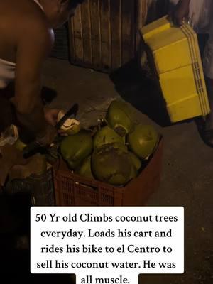 #coconutwater #coconuttree #meridayucatanmexico #centromerida #cancun #laplaya #mexicocity #puertavallarta #tulum #mexicantiktok #moveabroadtips #solotravel #moveabroadwithpets #traveltiktok 