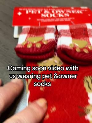 #greatfinds #matchingsockswithyourpet #fiveandbelow #christmascountdown #catladylife #cats #catsoftiktok #thedivakats #thedivakats2 @Five Below 