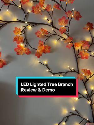 The viral LED lighted tree branch is a must have. This tree branch has the option of putting on autumn leaves, or keeping them off. Either way, it is absolutely beautiful! It is a great way to add to the aesthetic of your home. #ledtreebranchlights #ledtreebranch #ledtreelights #ledtreebranchlight #lights #moodlighting #moodlight #decorativelighting #decorativelights  #TikTokShopHolidayHaul #TikTokShopMustHaves #SavingsSquad  #HolidayGiftGuide #HolidayGiftIdeas #TikTokShop #TikTokShopping #TikTokShopFinds #TikTokShopReviews #TikTokShopSale#TTSLevelUp #TikTokShopNewArrivals #tiktokshopblackfriday #tiktokshopcybermonday #spotlightfinds #blackfridayearlydeals #blackfridaydeals #blackfriday #ttsdelightnow #giftguide #ttstakeover #brandselect #TikTokShopCreatorPicks #mademyyear #TikTokHolidayHaul  #tiktokshoppicks #toptierdecember #winterfinds #beautyfinds #TikTokShopLastChance #TikTokShopNewYearNewAurak #TikTokShopLastChance 