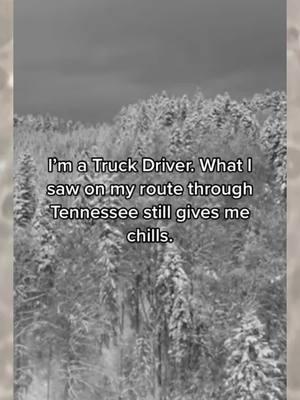 People not acting normal are scarier than any #cryptid or #supernatural being. The hair alone would have sent me running. #truestory #unhinged #Trucking #Truckdriver #trucker #Trucks #t