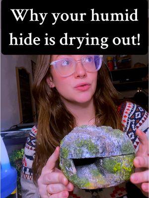 I have a few different enclosed humid hides I recommend, including the one in the video, in my Amazon storefront in the Hides category!🖤 #reptilekeeper #reptiles #reptilesoftiktok #leopardgeckosoftiktok #leopardgecko #leopardgeckocare  