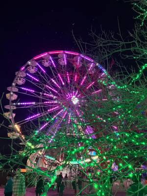 Holiday magic at the Austin Trail of Lights! 🎄✨ From sparkling trees to the glowing Ferris wheel, it’s the perfect way to kick off the Christmas season. ❤️🎡 #ATXChristmas #TrailofLights #AustinTrailofLights #HolidayVibes #ChristmasInATX #FestiveNights #LightShowMagic #AustinTX #ChristmasGlow #HolidayTraditions