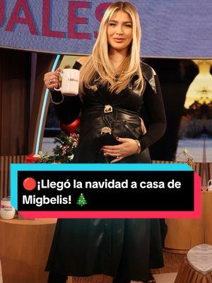 ¡Llegó la Navidad a casa de Migbelis y con un guiño muy especial! #migbeliscastellanos #migbelis #navidadacasademigbelis #navidad #migbeliscastellano #macchiato #familia #esposo #mascota #perro 