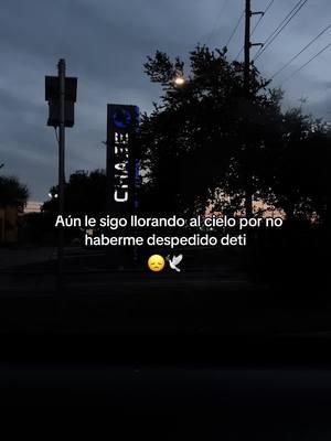 🕊️🤍🥺….                                                                  #fypシ #paratiiiii #teextraño #depression #bajonesemocionales #ansiedad #paratiiiiiiiiiiiiiiiiiiiiiiiiiiiiiiiiii #hastaelcielo #navidadentiktok 