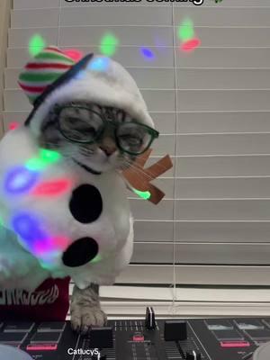 #christmas #techno #catdj #rave #siamesemixcat #snowman #dancingcat @AlphaTheta / Pioneer DJ USA 