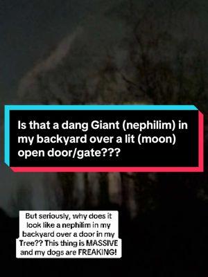 I cannot even explain the feeling this just gave me. It looks like a massive giant is in my backyard over an open lit up doorway.! Are the nephelim loose??? "As in the days of Noah ..." guys repent from your entire life to Yahweh and Yeshua things are getting real and getting real FAST!! #fyp #fypシ #goviral #trending #god #yahweh #jesus #yeshua #giant #giants #bible #nephilim #moon #gate #door #repent #rapture #faith #angel 