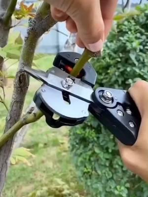 🌱 Grafting Pruner: Effortless Precision for Tree Grafting! A Must-Have for Gardening Enthusiasts! #GraftingPruner #GardeningTools #TreeCare #GardenEssentials #PracticalTools #EfficientGardening #PlantCare #ToolLovers #TopPicks"