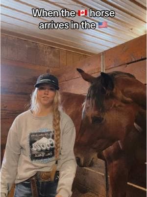 Hes a moose for sure #fyp #minesota #barrelracer #horse #viral #trending #western #rodeo #coltstarting #nrha #nbha 