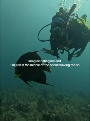 My only goal in the new year is to make fish friends  #diving #southflorida #angelfish #wildlifebiology #marinebiology #southflorida #underwater