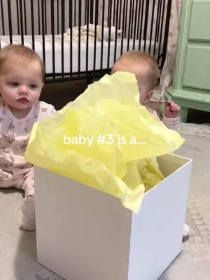 baby #3 is a….  #genderreveal #babynumber3 #bigsister #twinmom #secondpregnancy #pregnant 