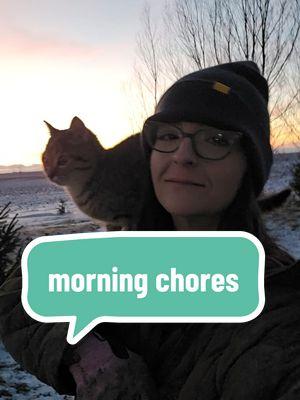 Farming has developed strength in me I never could have imagined ever existed.  This morning I am finding gratefulness in that newfound resiliencecy. #soupthecat #cat #cattok #catsoftiktok #kitten #kittentok #chores #farmchores #morningchores #farmmanager #strength #grief #newday #womeninag #resilience #soup 