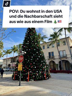 Wie im amerikanischen Film 🎄✨ Ist eure Nachbarschaft auch geschmückt? #usa #amerika #auswandern #Florida #miami #lifeinamerica #lebeninamerika #christmas #weihnachten 