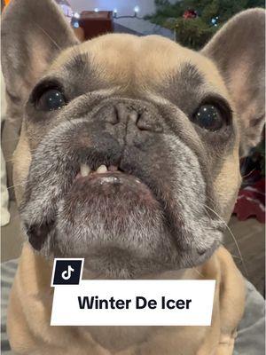 So satisfying #ice #fortheboys #sosatisfying #winter #dogs #frenchbulldog #dogparents 