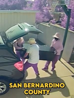 Burglars Dressed as Gardeners?!#fyp #america #Viral #burglar