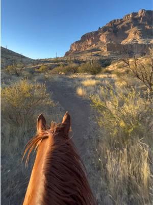 Something a little longer and speedier to get your weekend off to the right start…including my narrative at the start when I lost the trail momentarily 😂 #arizona #picketpost #trot #canter #equineasmr #hoofbeats #horsesounds #reddeadredemption2 #horses #horseriding #backcountry #desert #redmare #greengoldandblues