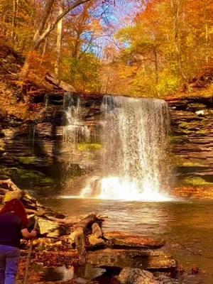 Fun times at Ricketts Glen State Park Benton Pennsylvania I love fall foliage. Such great memories do what makes you happy ##sharih55##foryou##rickettsglenstatepark##pennsylvania##hike##fypシ##dancing##fall##foliage##Hiking##havefun##behappy##lovelife##foryoupage