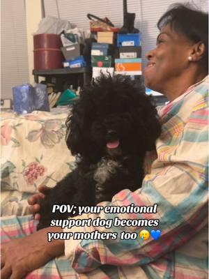 I swear she is our soul dog. So blessed to have found my mini poodle. Love her so much. 10/10 reccomend. She’s healing my entire family .  #minipoodle #minipoodles #emotionalsupportdog #emotionalsupport  #comedia #familyhumor #dogsofinstagram #dominicanhumor #dominicanos #doggrandma #dogmomlife #holiday #holidayreels #dominicansbelike #latina 