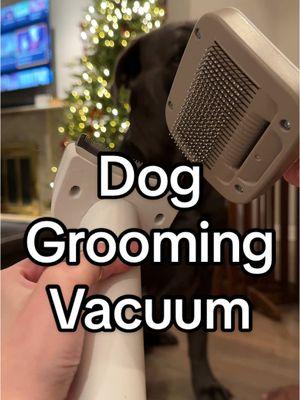 Why did I think this was only for longhaired dogs? 🤔 This is the P17 from @Redroad Canada  🔗in my bi0. You can use code “quicksale” for an extra discount on 12/21  #petgrooming #dogvacuum #redroadp17 #petgroomingwithredroad #fyp #canecorso 