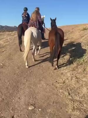 Watching my Trainer pony, my girl has got me in my feels. She did so good. I’m so proud of her and can’t wait to see her soon! #5moredays #Blessed #ottb #ottblove #ottbsoftiktok #ottbmare #filly #ottbfilly #thoroughbred #mare #andarna #retiredracehorse #thoroughbredsoftiktok #retired #secondhonor #horsegirl #pony #trailride #horsemama #horses 