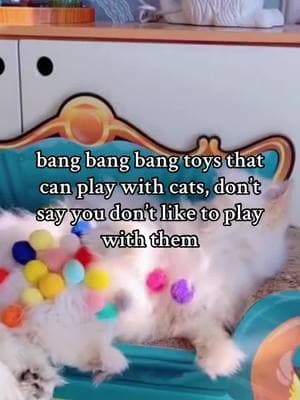 bang bang bang toys that can play with cats, don’t say you don’t like to play with them#tiktokshopcrossborder_seasales #tiktokshopsgsale #fyp #fys #goodthing #goodthingshare #cat 