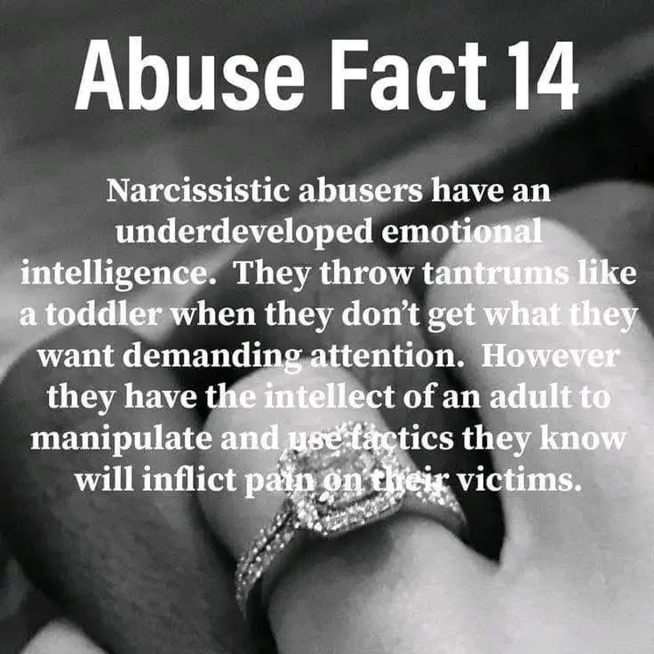 #narcissist #neverbelieveanarcissist #narctok #narcissistabuseawareness #abuse #redflags #dontignorethesigns #verbalabuse #emotional #you 