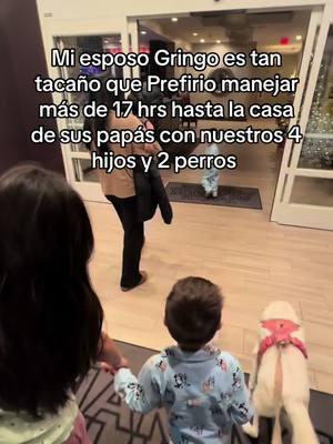 Mi esposo Gringo es tan tacaño prefirio manejar desde NJ asta Miami con nuestros 4 hijos y 2 perros #Vlog #roadtrip #gringo #gringoylatina #mexicanaygringo #vacation #fyp #foryoupage #dayinmylife #momoftiktok 