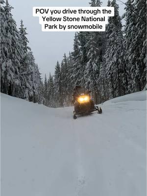 Have you ever done that?                 #yellowstone #nationalpark #funn #snowmobile #wintervibes #december #foryoupage❤️❤️ #westyellowstone #america 