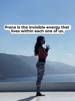 The word Prana can be interpreted as “life force energy”or “breath of life” (how beautiful is that?) In yoga philosophy, Prana is considered the first building block of the Universe. Flowing within and around us, Prana is the invisible energy that connects us as physical beings to the non-physical universe. One of the most tangible ways to experience Prana is your breath. Your breath is the Prana life force and energy flowing through you, into the world, and back again in one continuous cycle. When you learn how to become not only aware of your breath but how to settle into and calm your breath, you can do the same with your thoughts. Before you scroll away, close your eyes and take a few deep breaths. Notice what happens when you really connect with your breath and your Prana ❤️ . . . #armbalancetraining #yogabalancepose #yogabalanceact #yogabreath #onandoffthemat #yogaforbeginners #flexibilitytips #yogapracticeeveryday #handbalancing #yogatips #learnyoga #handstandtraining #yogastrength #yogaflexibility . how to arm balance yoga, how to do handstand, crow pose yoga, balancing yoga poses, yoga arm balances for beginners, arm balance yoga class, learn yoga arm balance