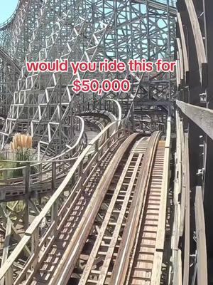 95% survival rate 😱🎢. would you ride this roller coaster 🎢!  #rollercoster #rollercoasters #amusementpark #themepark #rollercoastertiktok #ride #fun #scary #funny #travel #fypage #fyp #vacation #tiktok #fypviral #viralvideo 